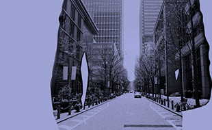 Capital Growth and Investment Analysis